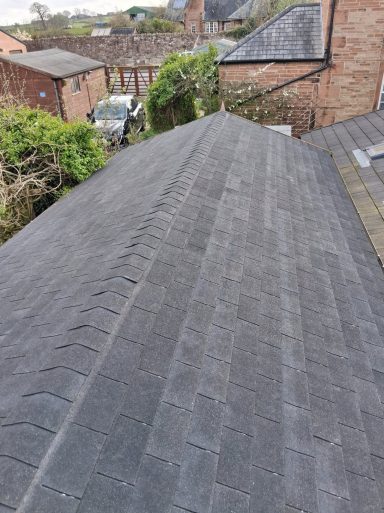 Shingle Roof